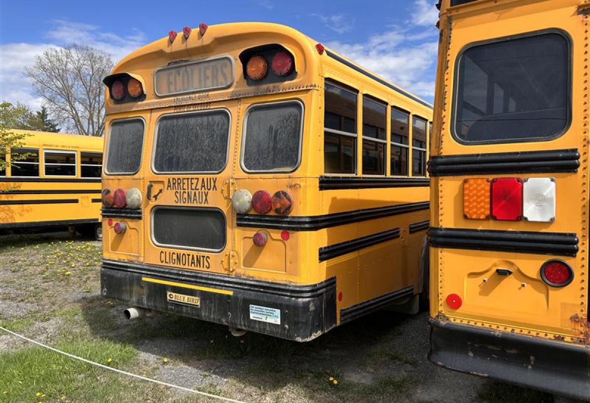 2010 BLUE BIRD TC3000 - Girardin Blue Bird